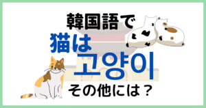 韓国語で「猫」って何ていう？猫の鳴き声・ふみふみもチェック！