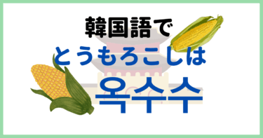 「とうもろこし」って韓国語で何ていう？トウモロコシのお茶は2種類？