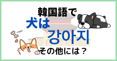 「犬」は韓国語で何ていう？犬の鳴き声もチェック！犬の子は悪口？