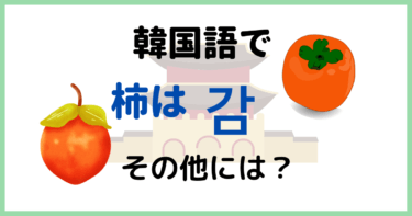 「柿」って韓国語で何ていうの？韓国でチェレンジしてほしい一押し果物