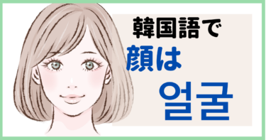 韓国語で「顔」って何ていう？スバク顔って何のことが知ってる？majitsulog.com